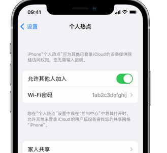 平凉apple服务站点分享iPhone上个人热点丢失了怎么办 