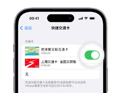 平凉apple维修点分享iPhone上更换Apple Pay快捷交通卡手绘卡面 