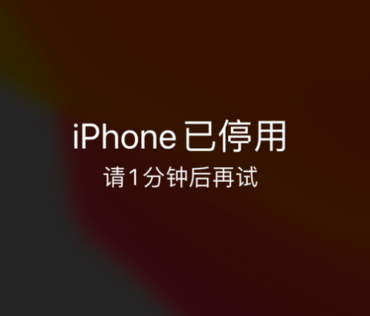 平凉苹果手机维修分享:iPhone 显示“不可用”或“已停用”怎么办？还能保留数据吗？ 