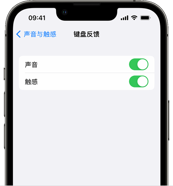 平凉苹果14维修店分享如何在 iPhone 14 机型中使用触感键盘 