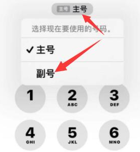 平凉苹果14维修店分享iPhone 14 Pro Max使用副卡打电话的方法 