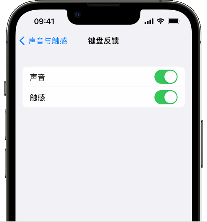 平凉苹果14维修分享iPhone 14 系列机型如何开启键盘声音或触感反馈 