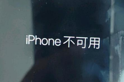 平凉苹果服务网点分享锁屏界面显示“iPhone 不可用”如何解决 