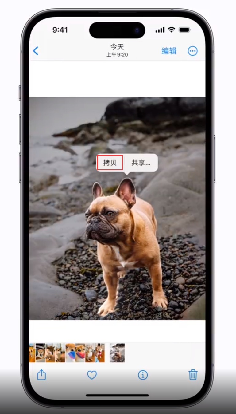 平凉苹果手机维修分享 iOS 16 自带一键抠图功能 