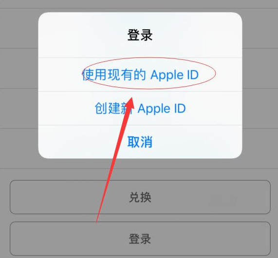平凉苹果手机维修分享两台iPhone设备可以同时登录一个Apple ID吗 